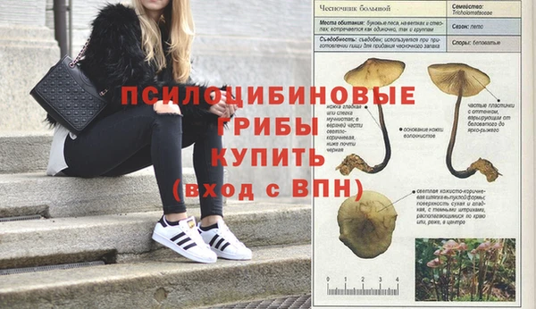 марихуана Алзамай