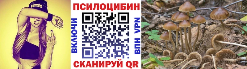 наркошоп  Качканар  Псилоцибиновые грибы Psilocybe 